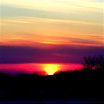 澳门一码一肖一特一中手机app下载