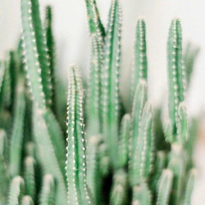 pg电子娱乐平台下载手机版